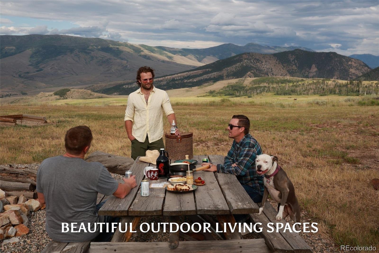 MLS Image #4 for 733  spring creek ranch road,silverthorne, Colorado