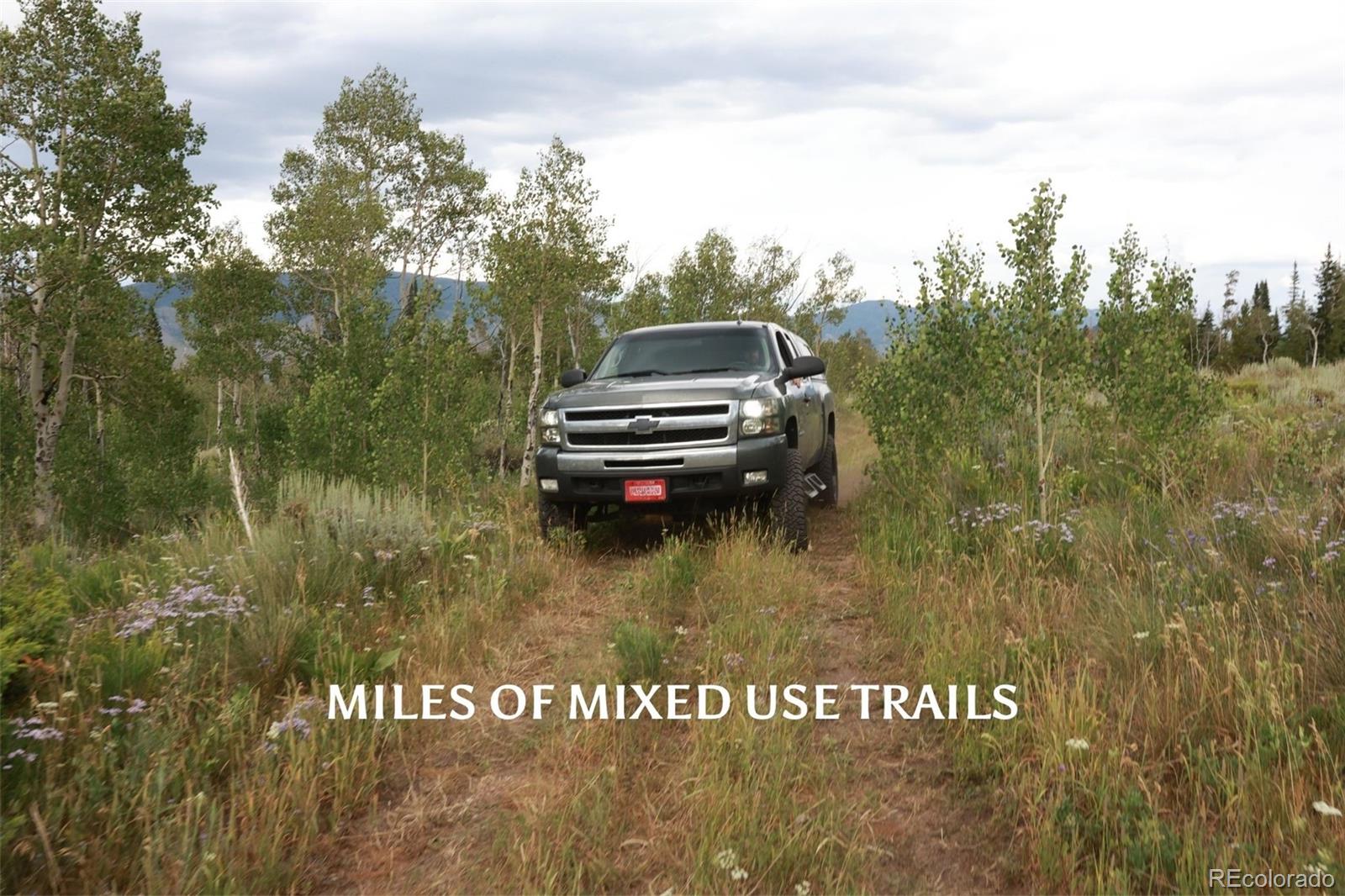 MLS Image #5 for 733  spring creek ranch road,silverthorne, Colorado