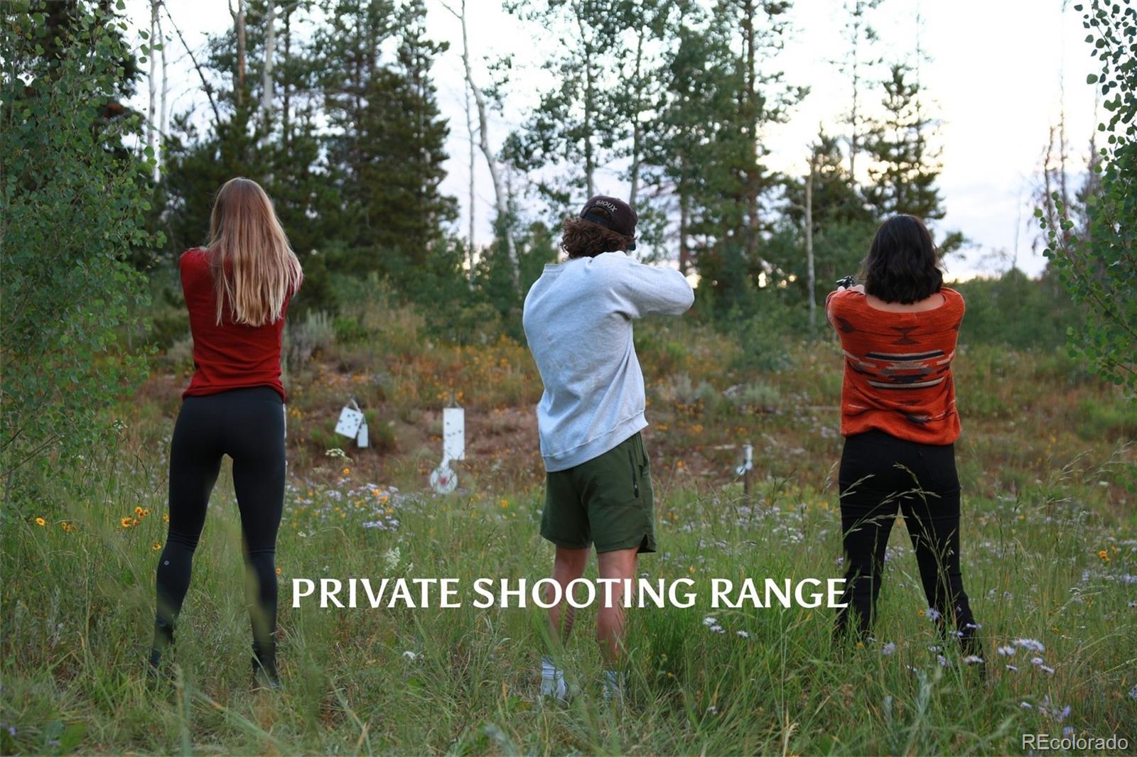 MLS Image #6 for 733  spring creek ranch road,silverthorne, Colorado