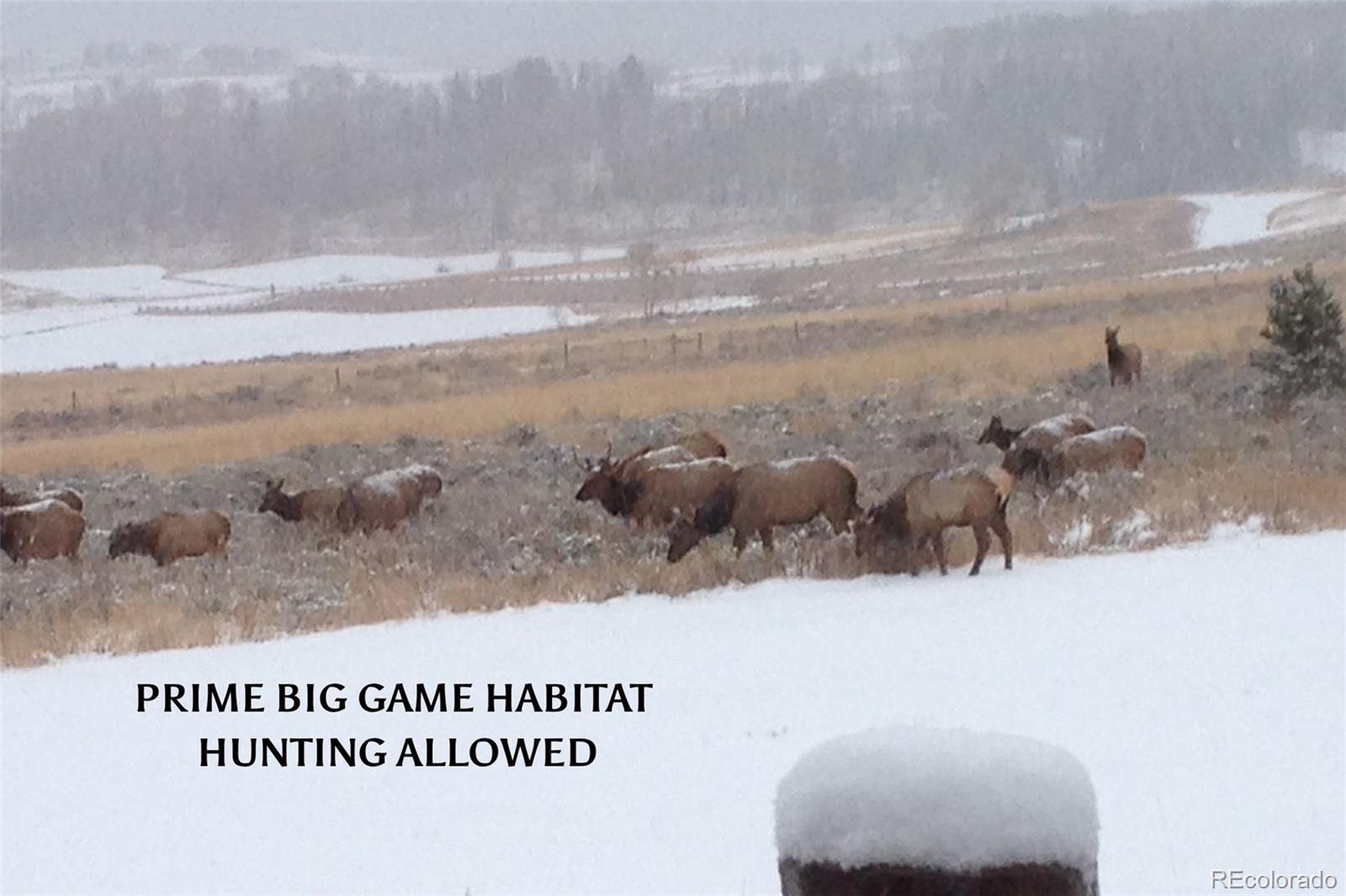 MLS Image #7 for 733  spring creek ranch road,silverthorne, Colorado