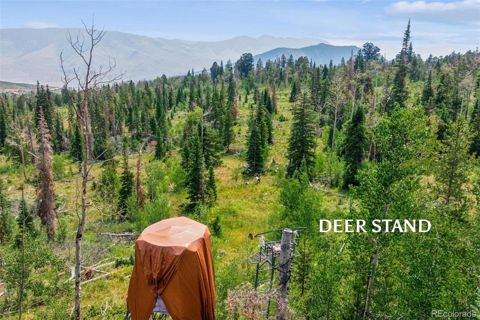 MLS Image #8 for 733  spring creek ranch road,silverthorne, Colorado