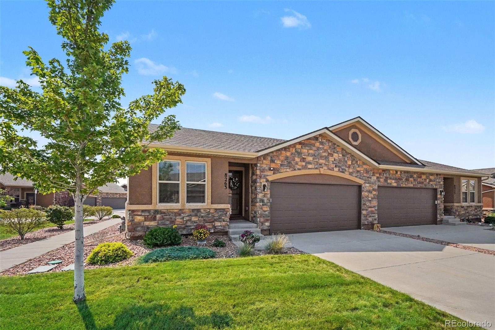 MLS Image #2 for 8263  potentilla grove,colorado springs, Colorado