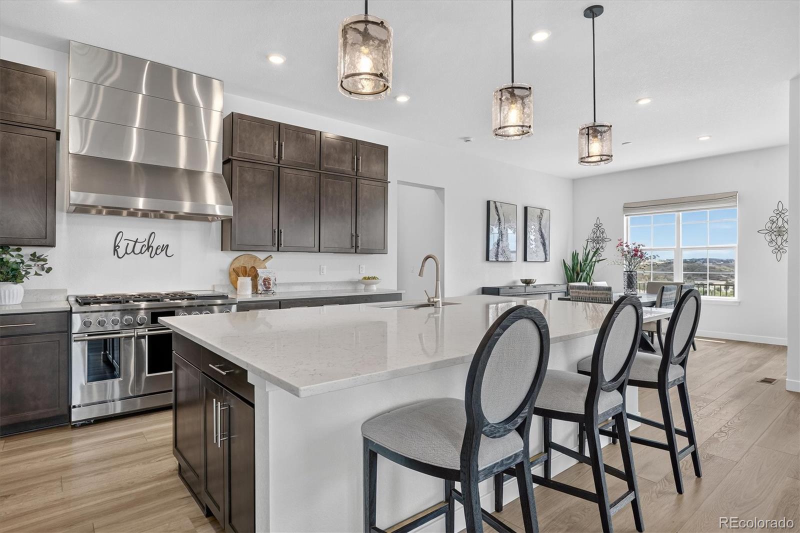MLS Image #10 for 3940  treadway point,castle rock, Colorado