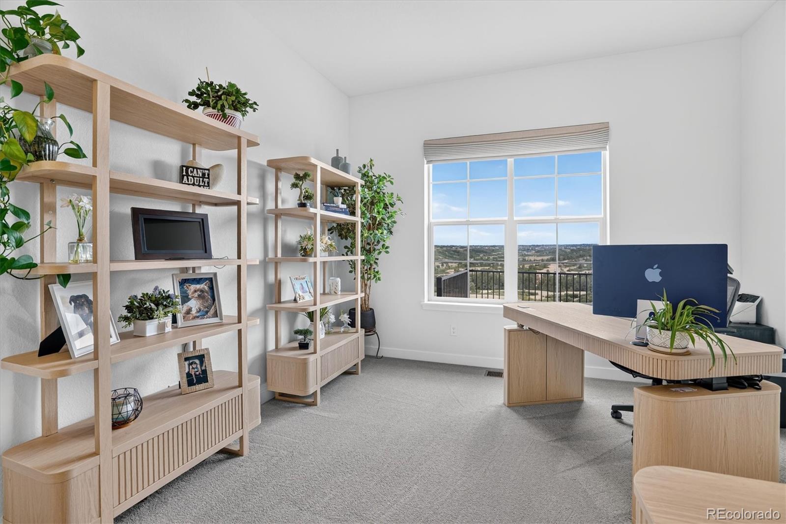 MLS Image #21 for 3940  treadway point,castle rock, Colorado