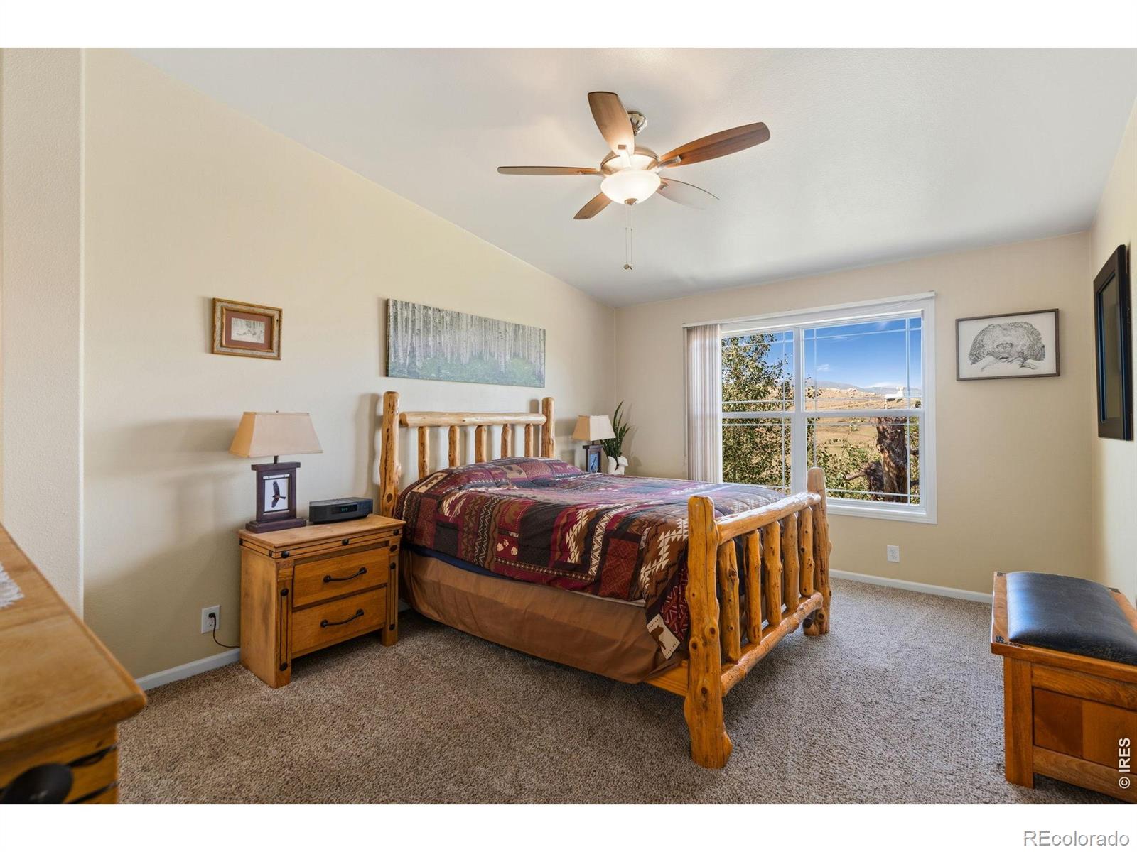 MLS Image #18 for 572  horse mountain drive,livermore, Colorado
