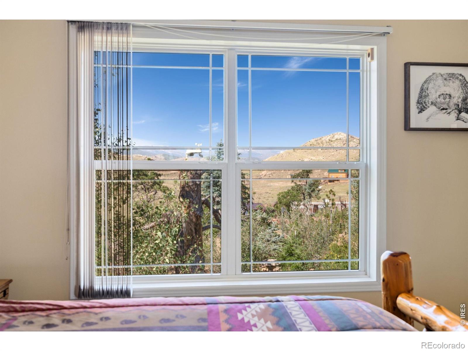 MLS Image #20 for 572  horse mountain drive,livermore, Colorado