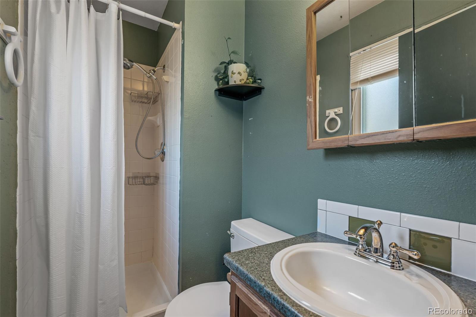 MLS Image #16 for 334  4th street,firestone, Colorado