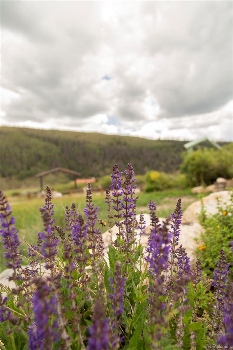 MLS Image #12 for 1001  cr 17 gunnison cabin ,lake city, Colorado