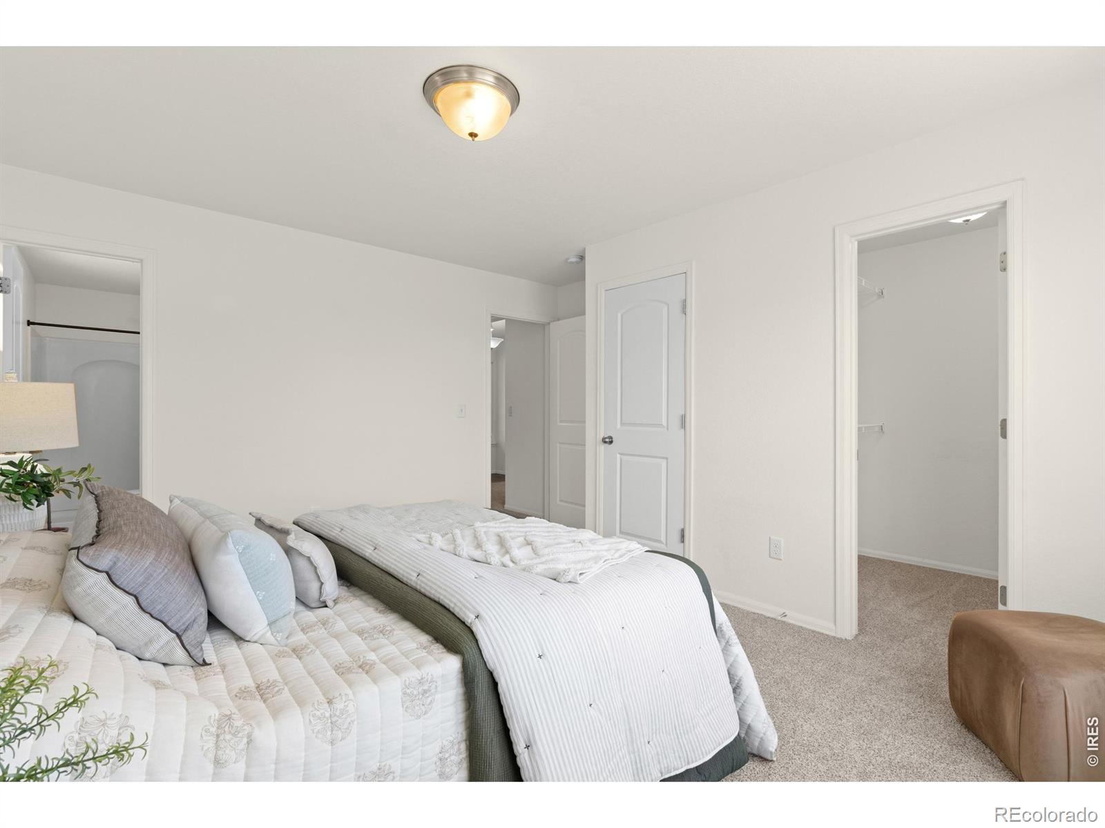 MLS Image #19 for 843  sunlight peak drive,severance, Colorado