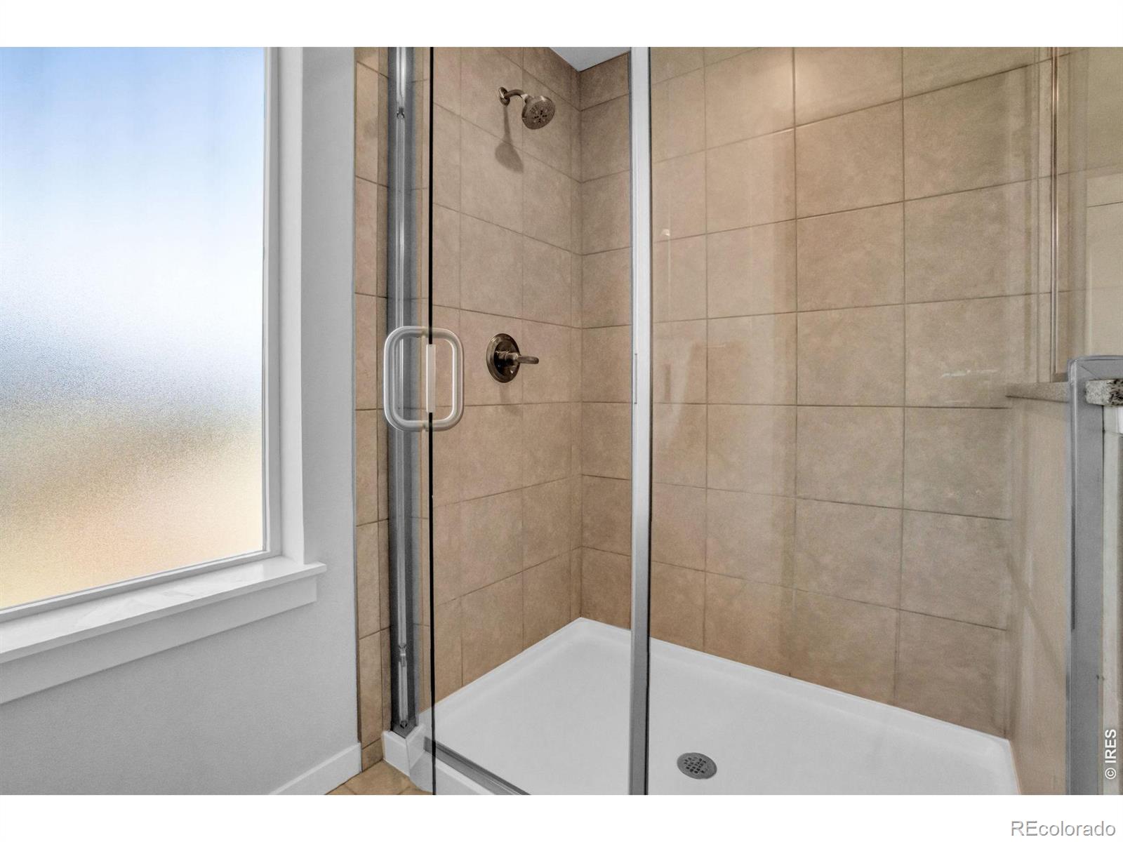 MLS Image #17 for 2104  gather court,windsor, Colorado