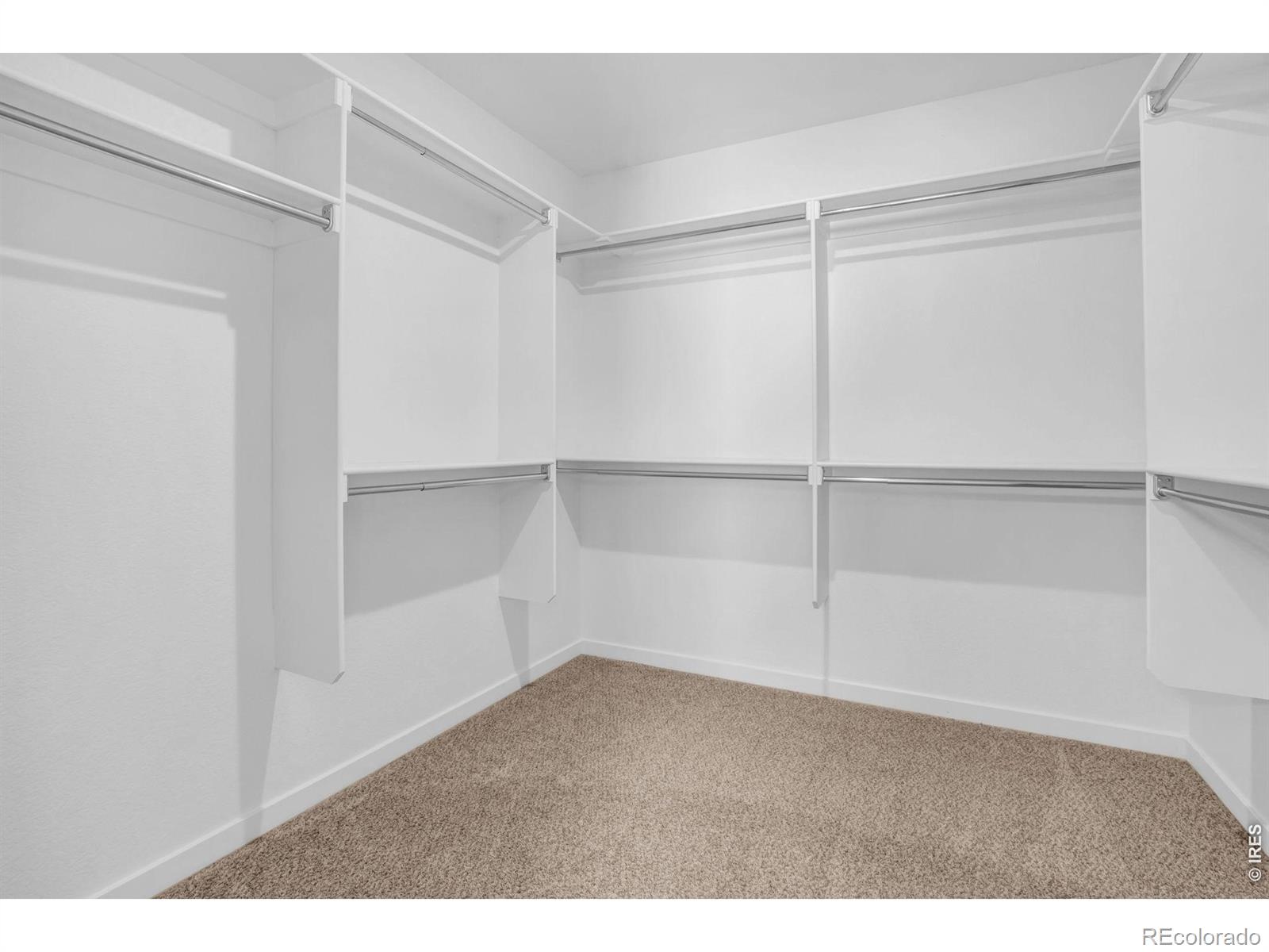 MLS Image #18 for 2104  gather court,windsor, Colorado