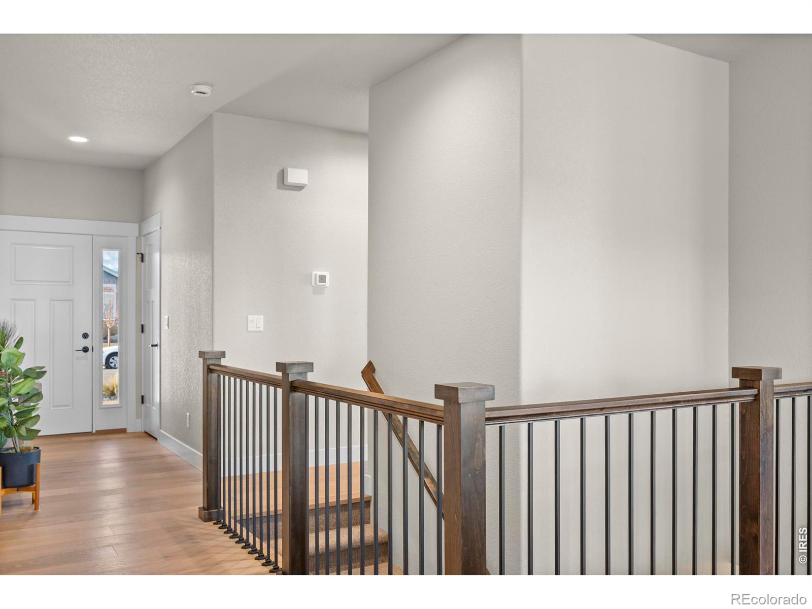 MLS Image #11 for 7188  rye grass drive,wellington, Colorado