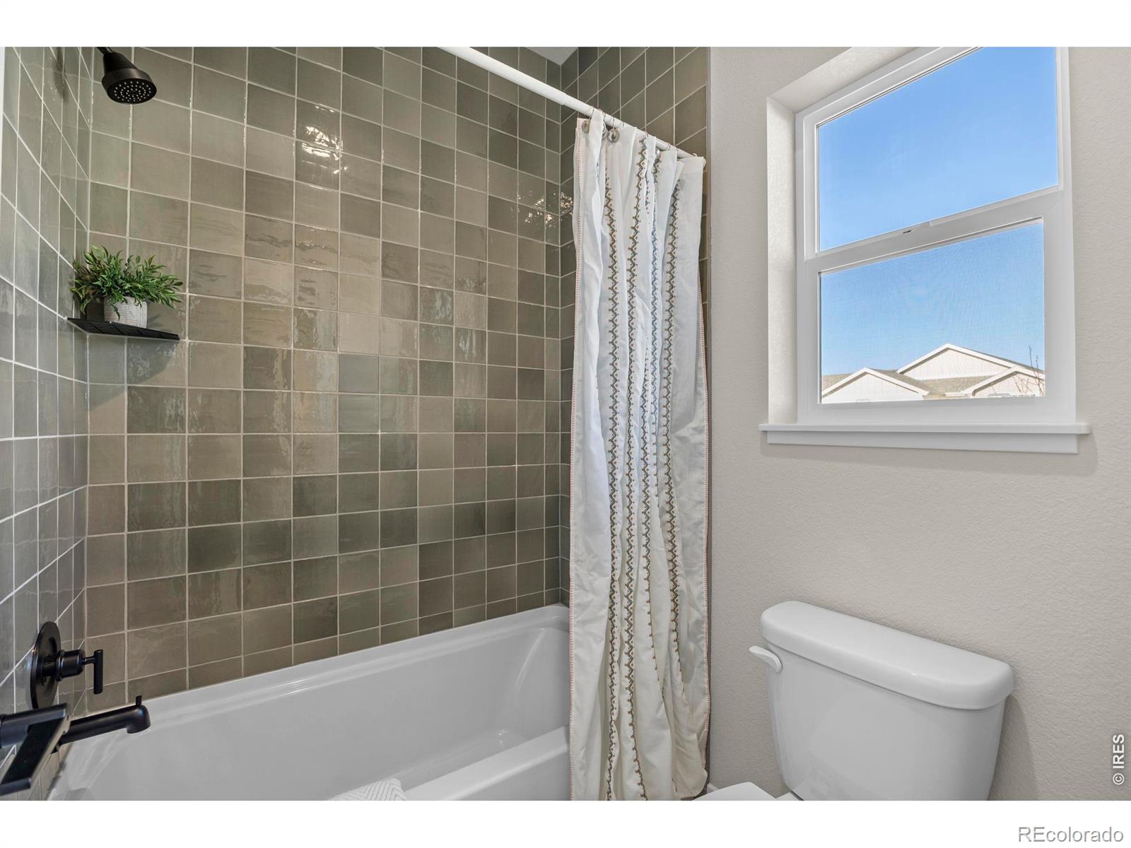 MLS Image #28 for 7188  rye grass drive,wellington, Colorado