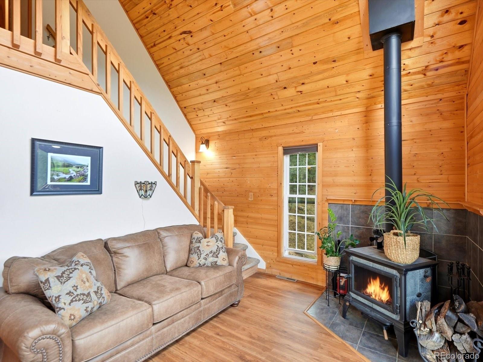 MLS Image #19 for 10  juniper way,bailey, Colorado