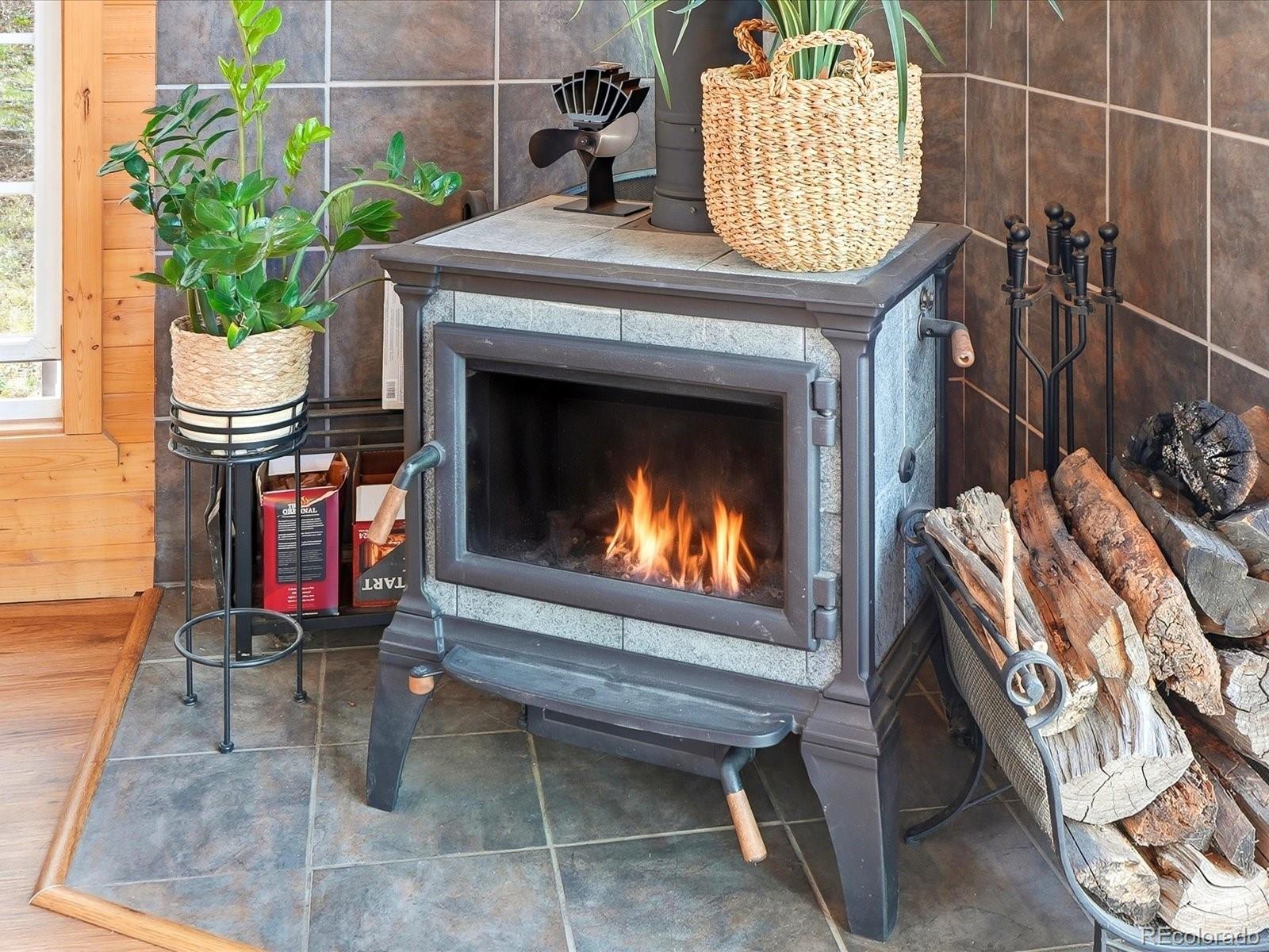 MLS Image #20 for 10  juniper way,bailey, Colorado
