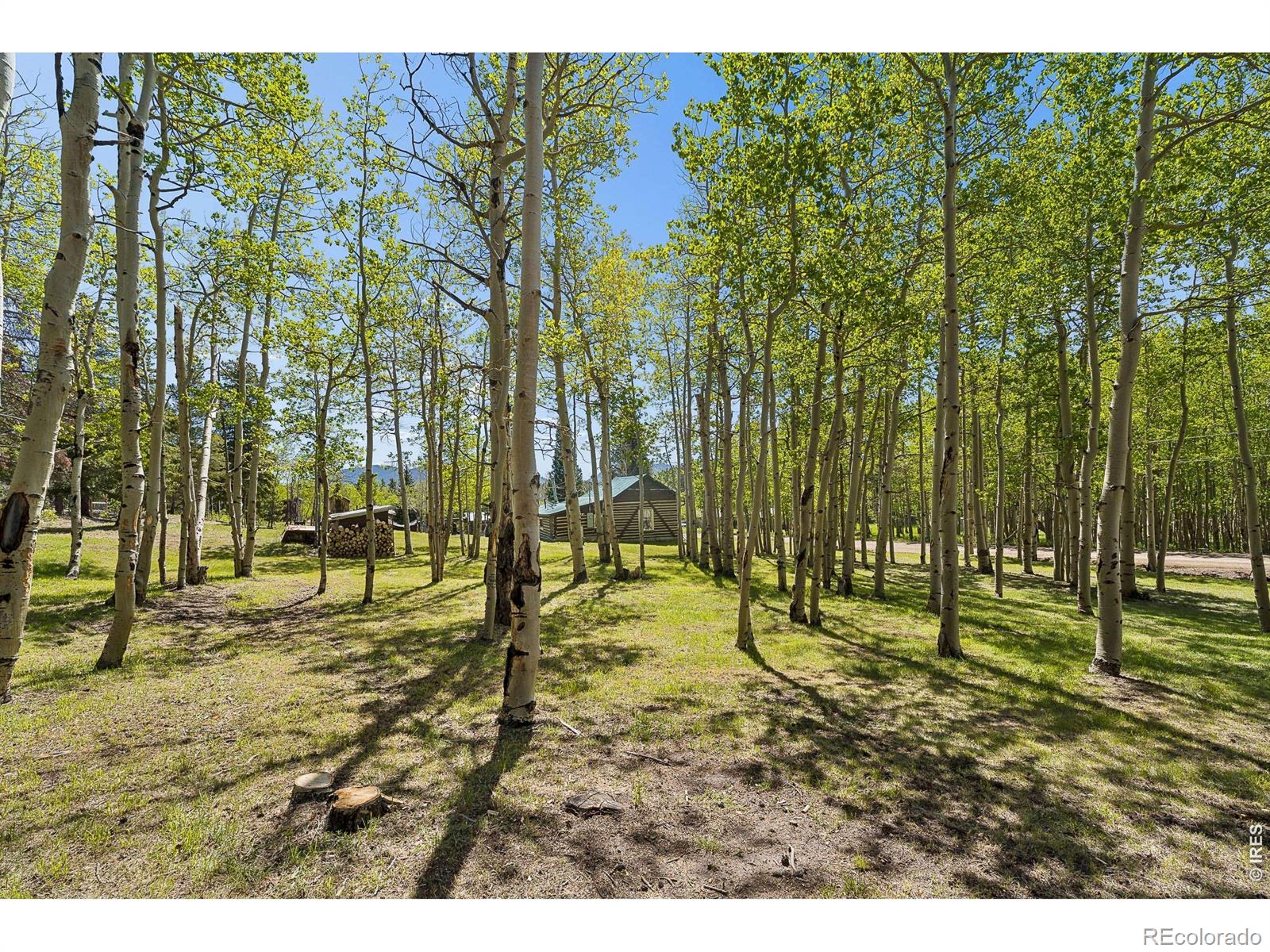 MLS Image #27 for 1763  lump gulch road,black hawk, Colorado