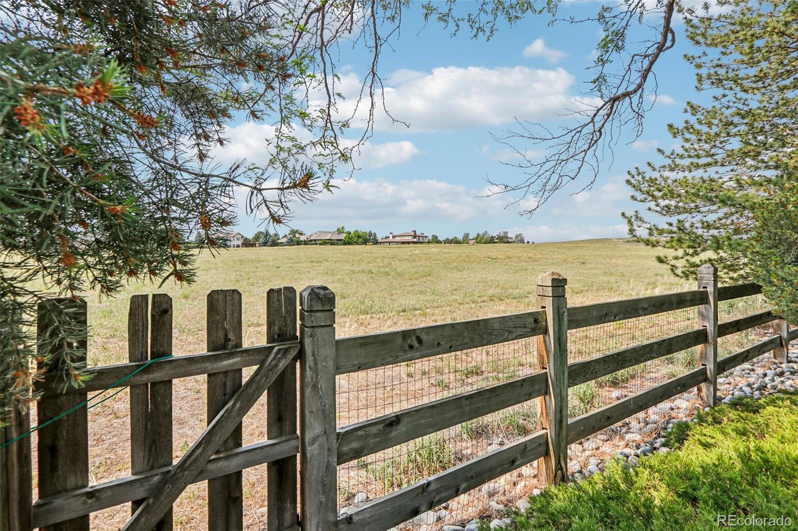 MLS Image #46 for 6624  cherokee court,niwot, Colorado