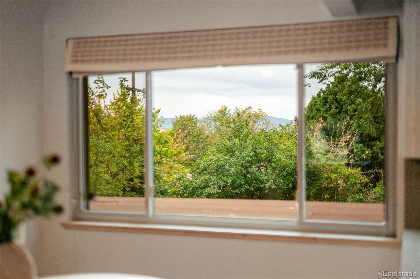 MLS Image #14 for 4935  fenton street,denver, Colorado