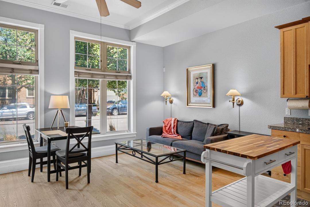 MLS Image #4 for 800 e 18th avenue,denver, Colorado
