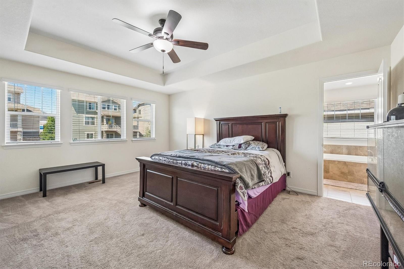 MLS Image #16 for 16126  azalea avenue,parker, Colorado