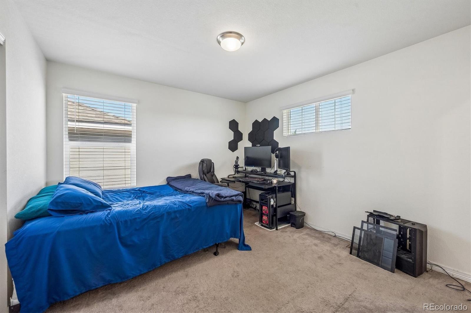 MLS Image #20 for 16126  azalea avenue,parker, Colorado