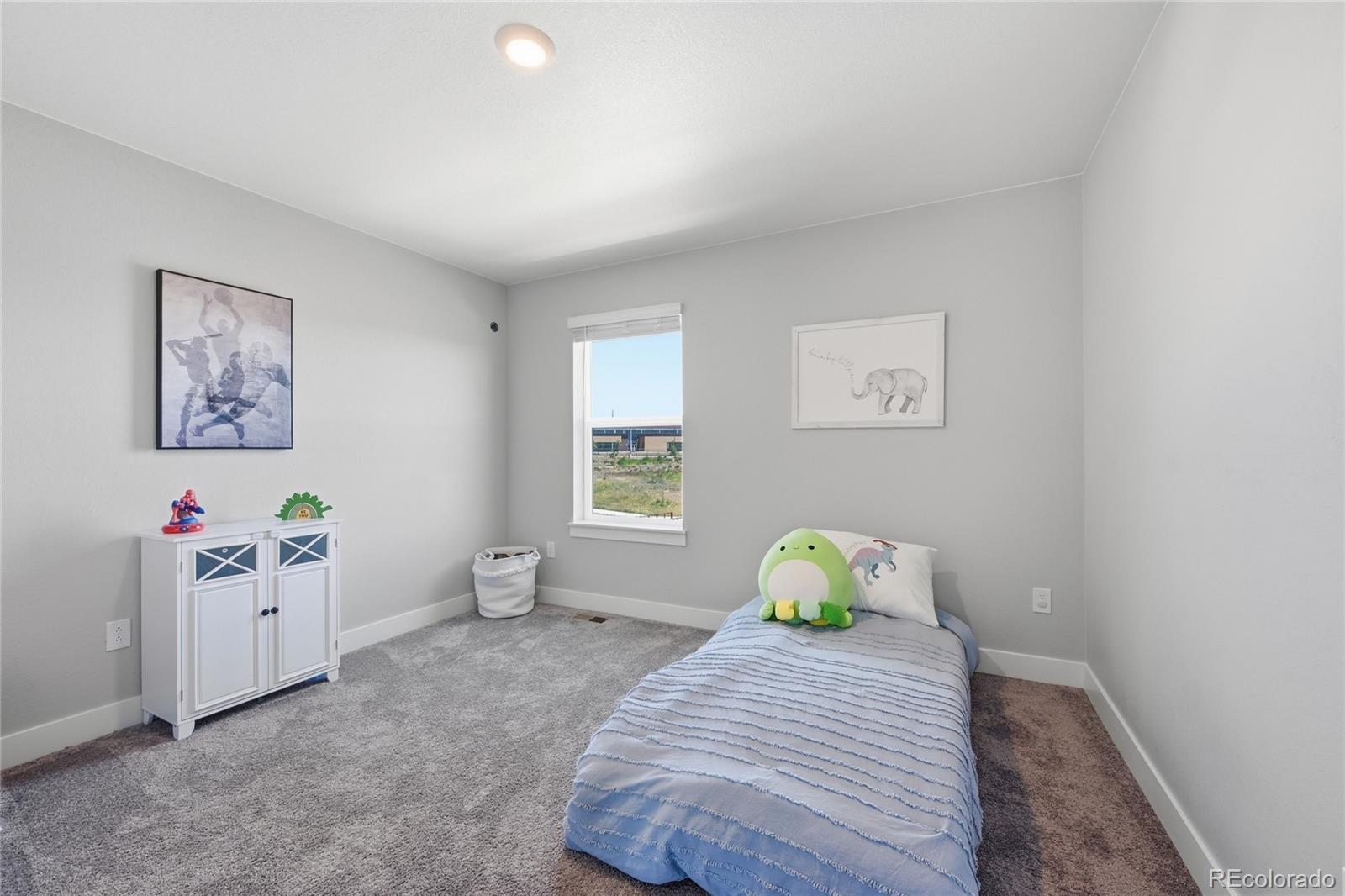 MLS Image #33 for 13364  xanthia street,brighton, Colorado