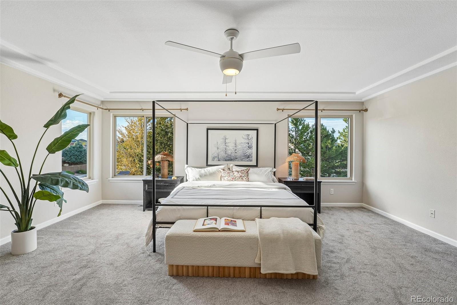 MLS Image #27 for 9727  clairton lane,highlands ranch, Colorado