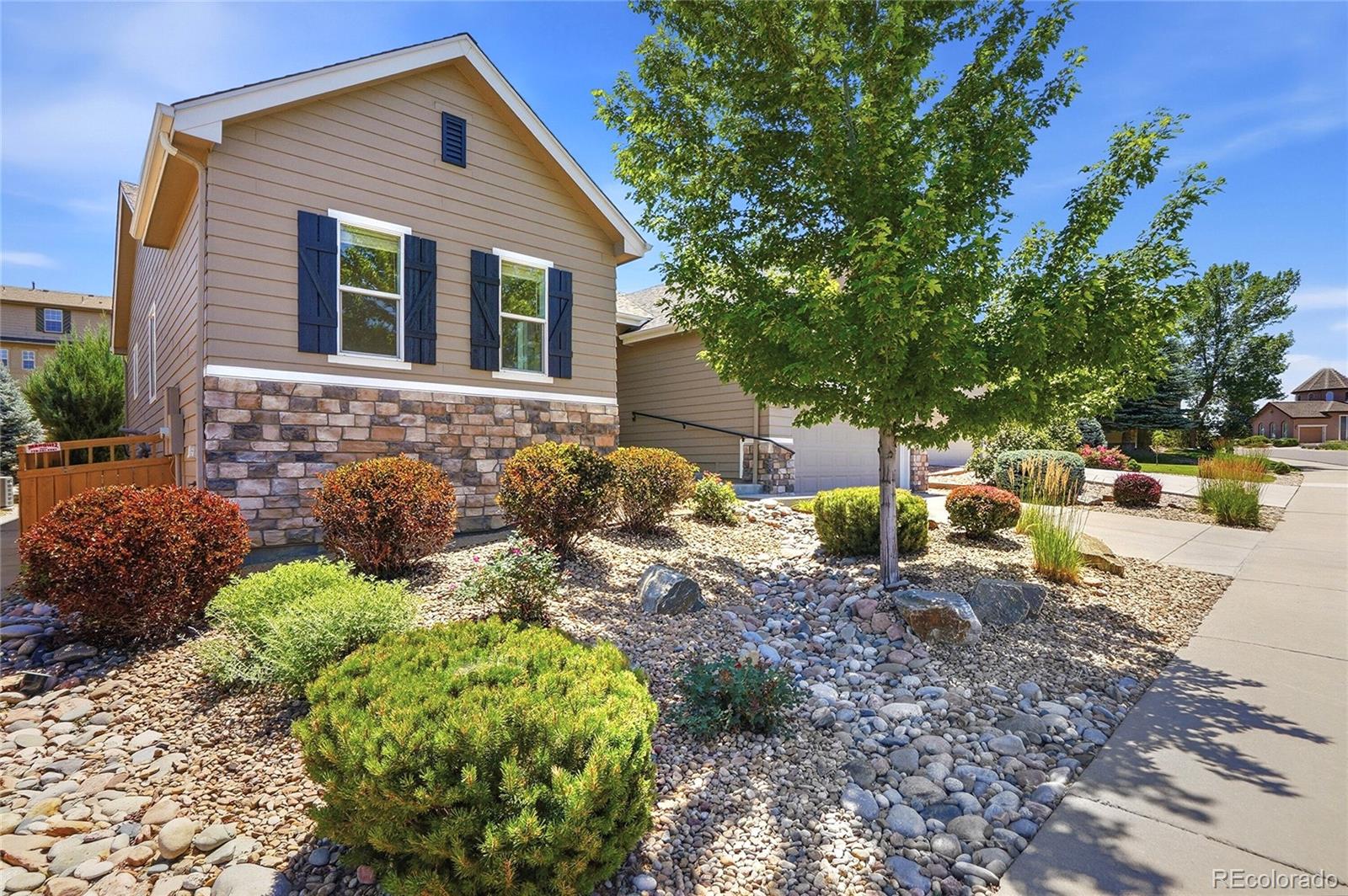 MLS Image #3 for 2922  breezy lane,castle rock, Colorado