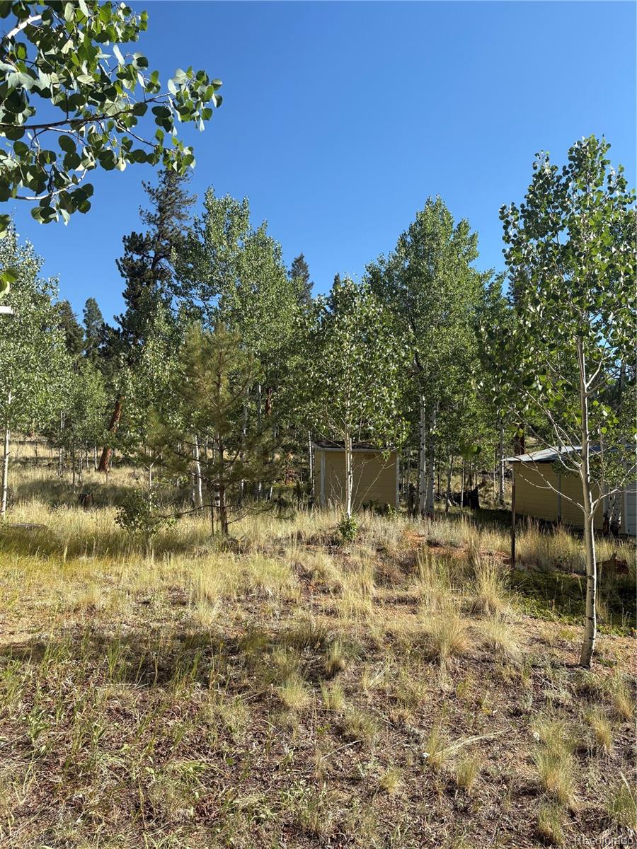 MLS Image #15 for 103  baker road,bailey, Colorado