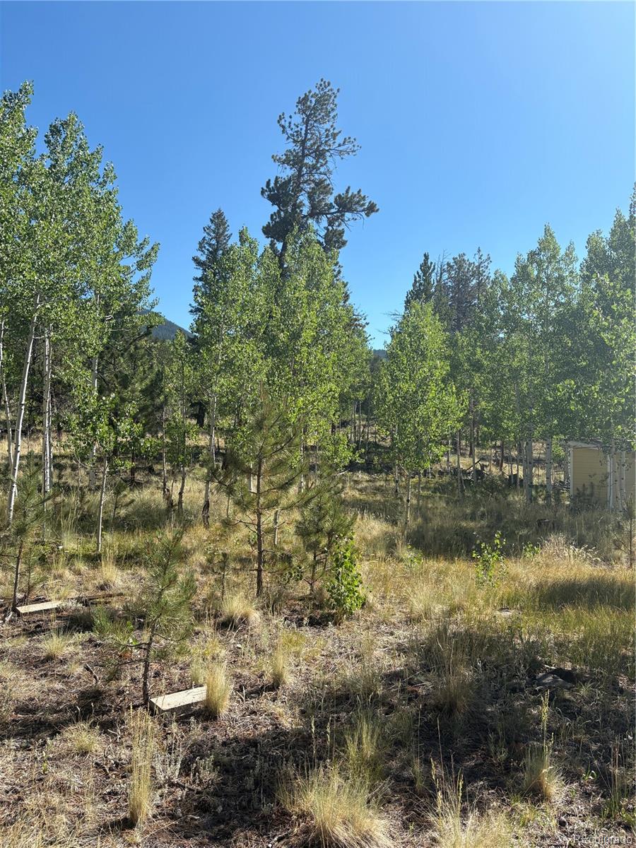MLS Image #3 for 103  baker road,bailey, Colorado