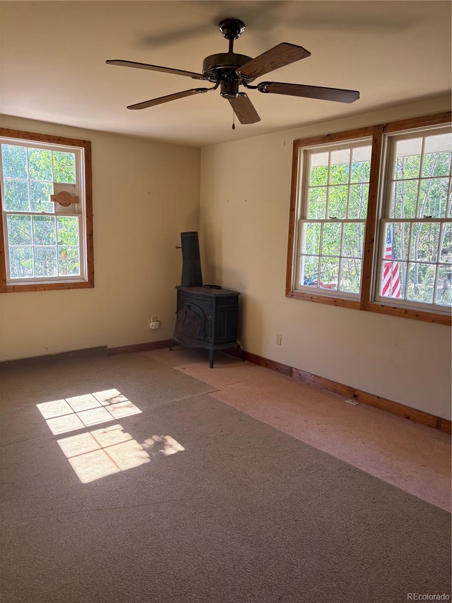 MLS Image #4 for 103  baker road,bailey, Colorado