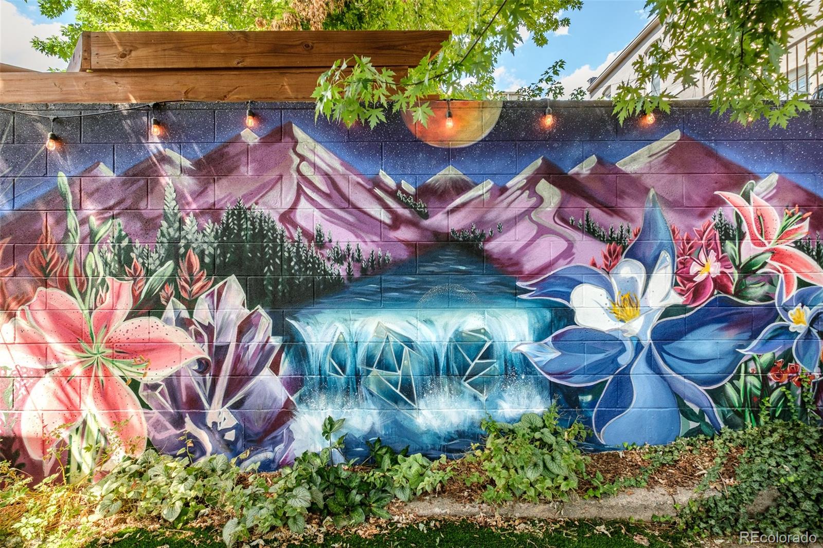 MLS Image #38 for 1041 n corona street,denver, Colorado