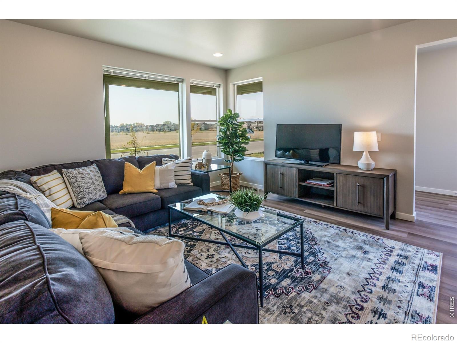 MLS Image #18 for 5421  yancy street,timnath, Colorado