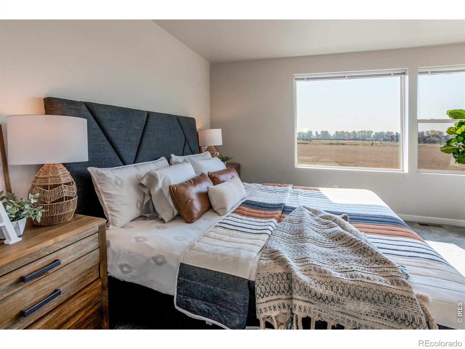 MLS Image #22 for 5421  yancy street,timnath, Colorado
