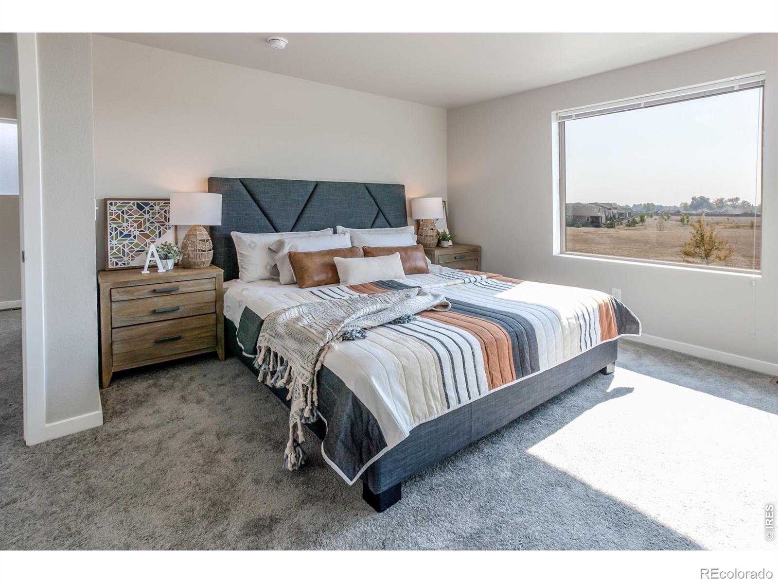 MLS Image #23 for 5421  yancy street,timnath, Colorado