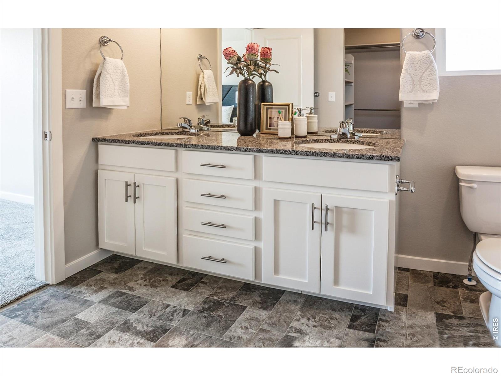 MLS Image #24 for 5421  yancy street,timnath, Colorado