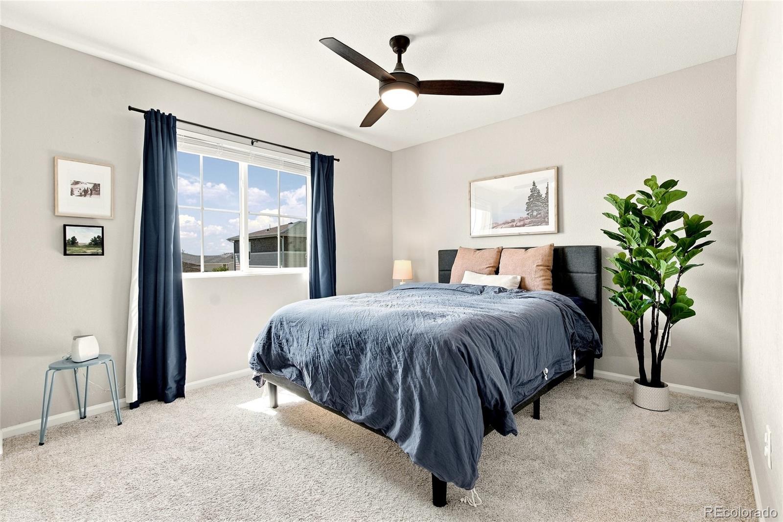 MLS Image #35 for 4345  rapport drive,castle rock, Colorado