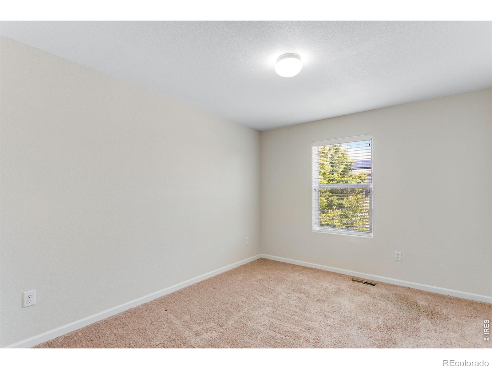 MLS Image #19 for 1210  bistre street,longmont, Colorado