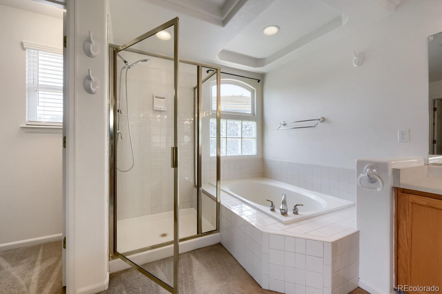 MLS Image #14 for 9156  fox fire drive,littleton, Colorado