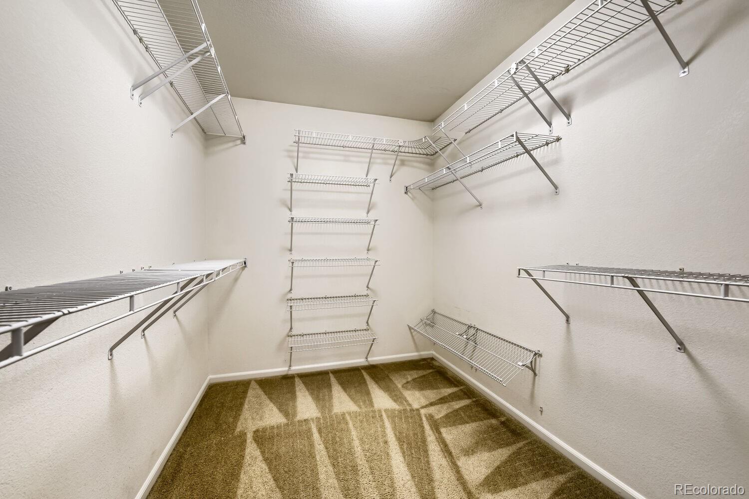 MLS Image #19 for 9156  fox fire drive,littleton, Colorado