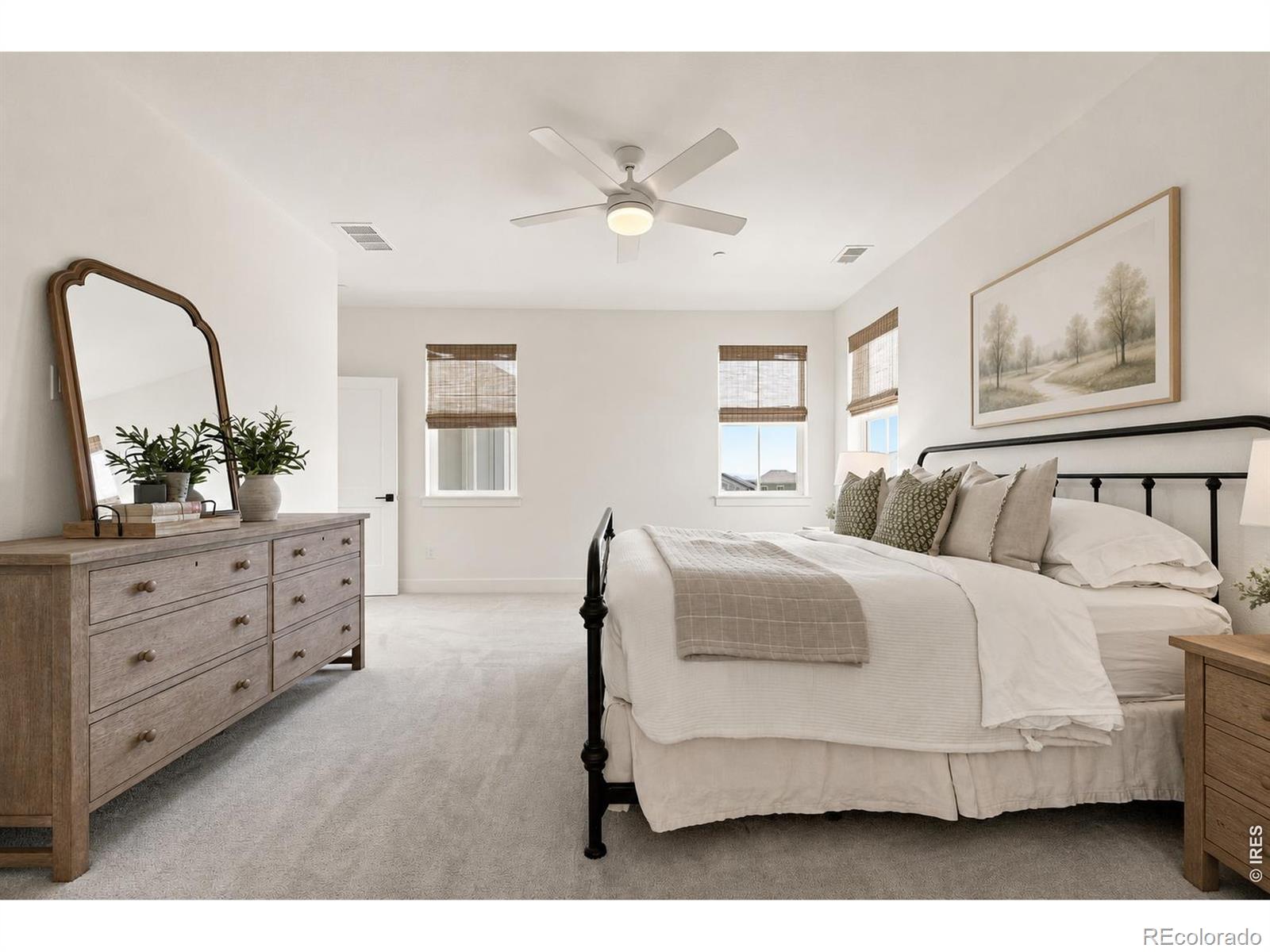 MLS Image #20 for 239  washington street,erie, Colorado