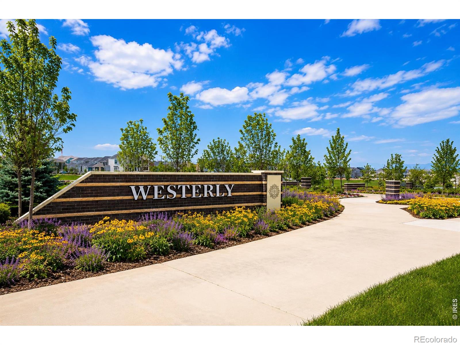 MLS Image #31 for 239  washington street,erie, Colorado
