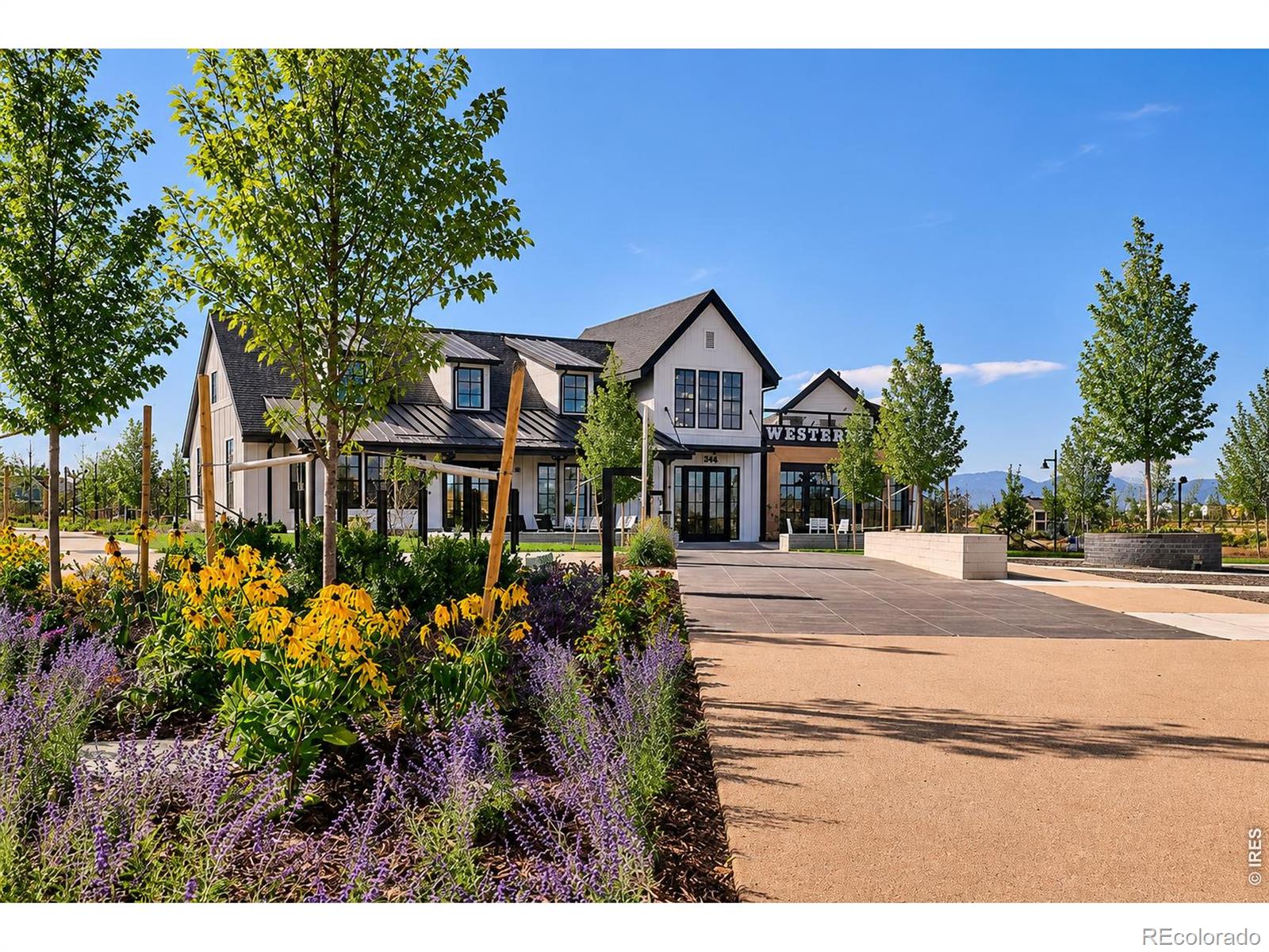 MLS Image #35 for 239  washington street,erie, Colorado