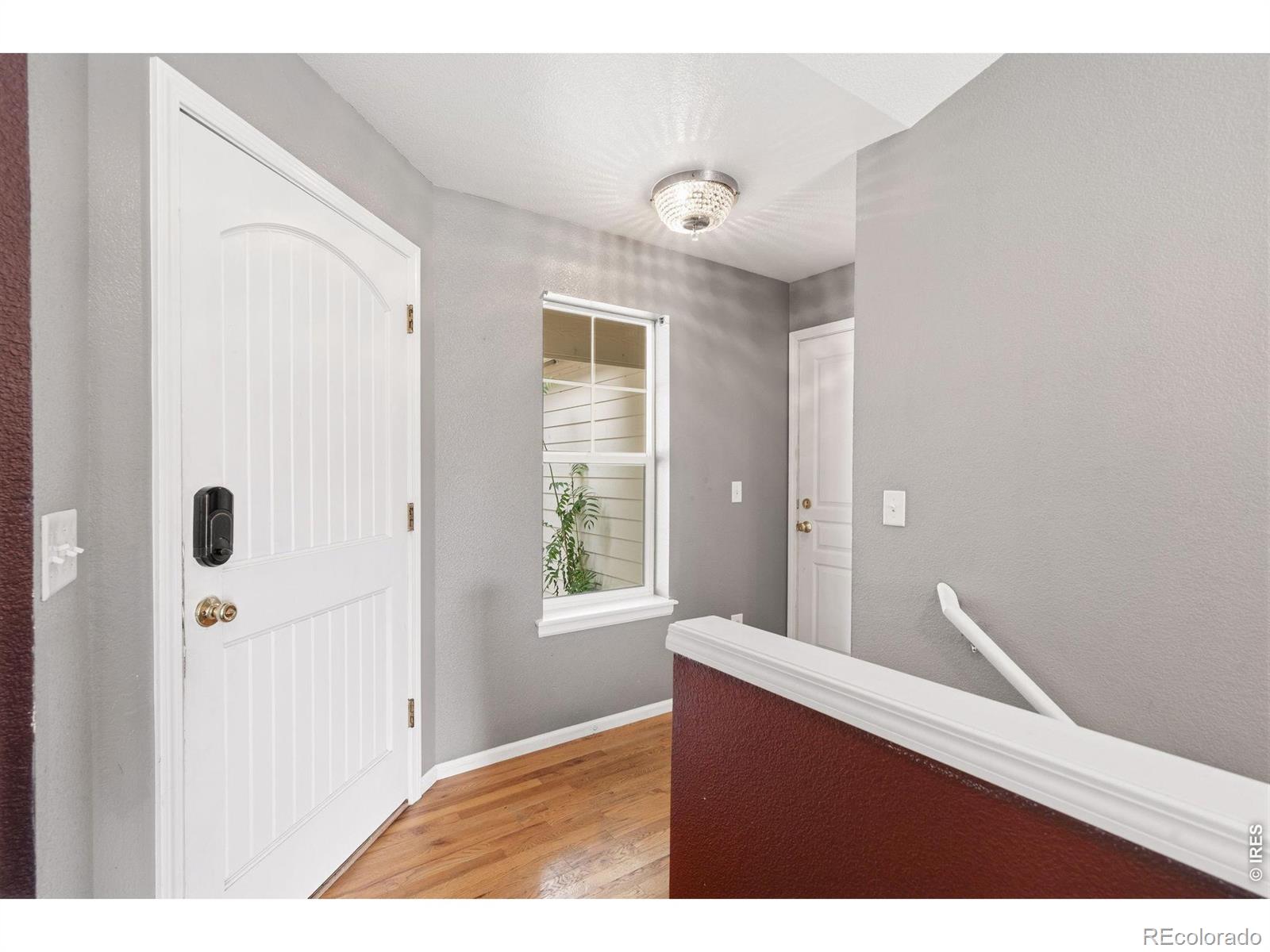 MLS Image #4 for 586  magpie drive,loveland, Colorado