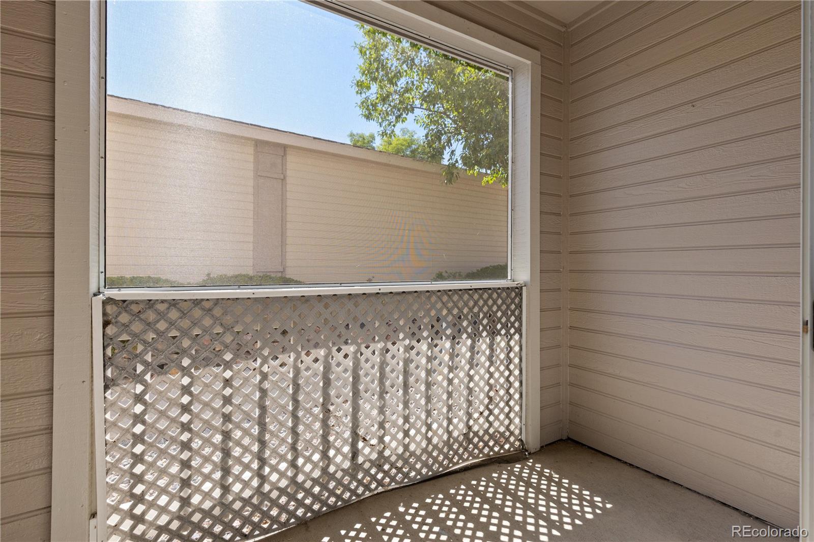 MLS Image #6 for 1128  opal street 102,broomfield, Colorado