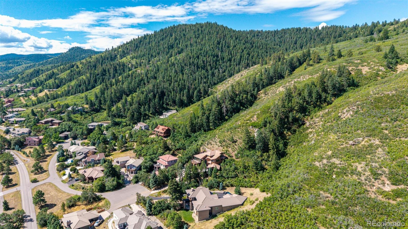 MLS Image #49 for 6243  buffalo run,littleton, Colorado