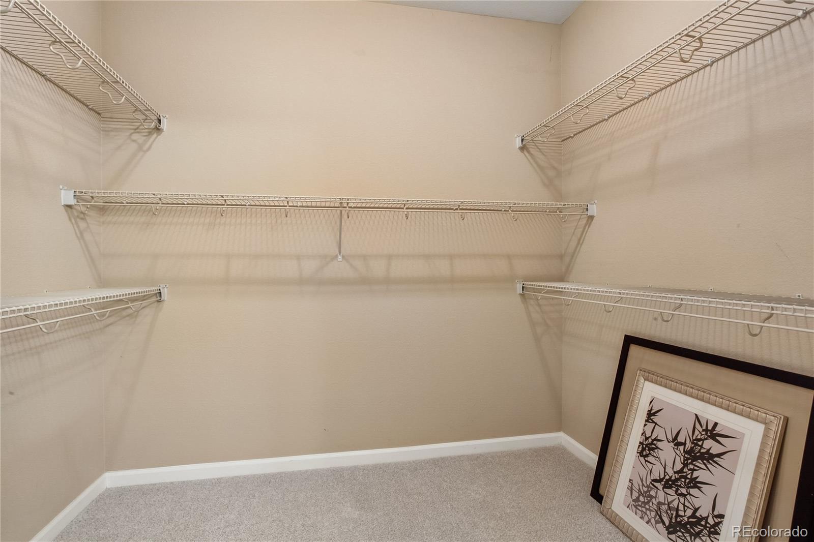 MLS Image #14 for 8516  gold peak drive,littleton, Colorado