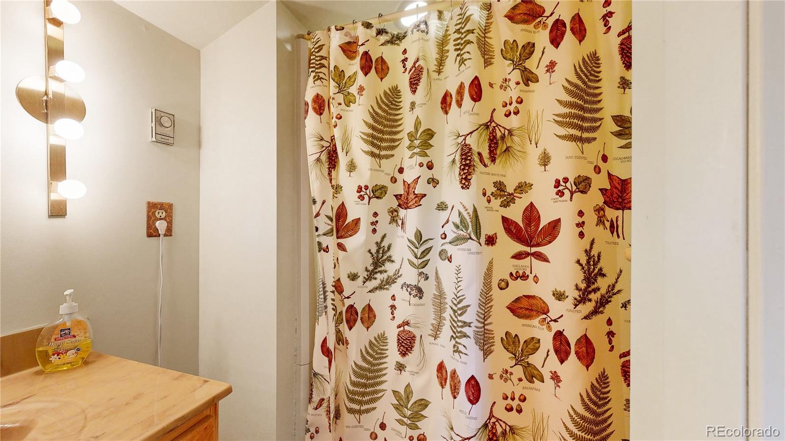 MLS Image #25 for 1295  spruce drive,golden, Colorado
