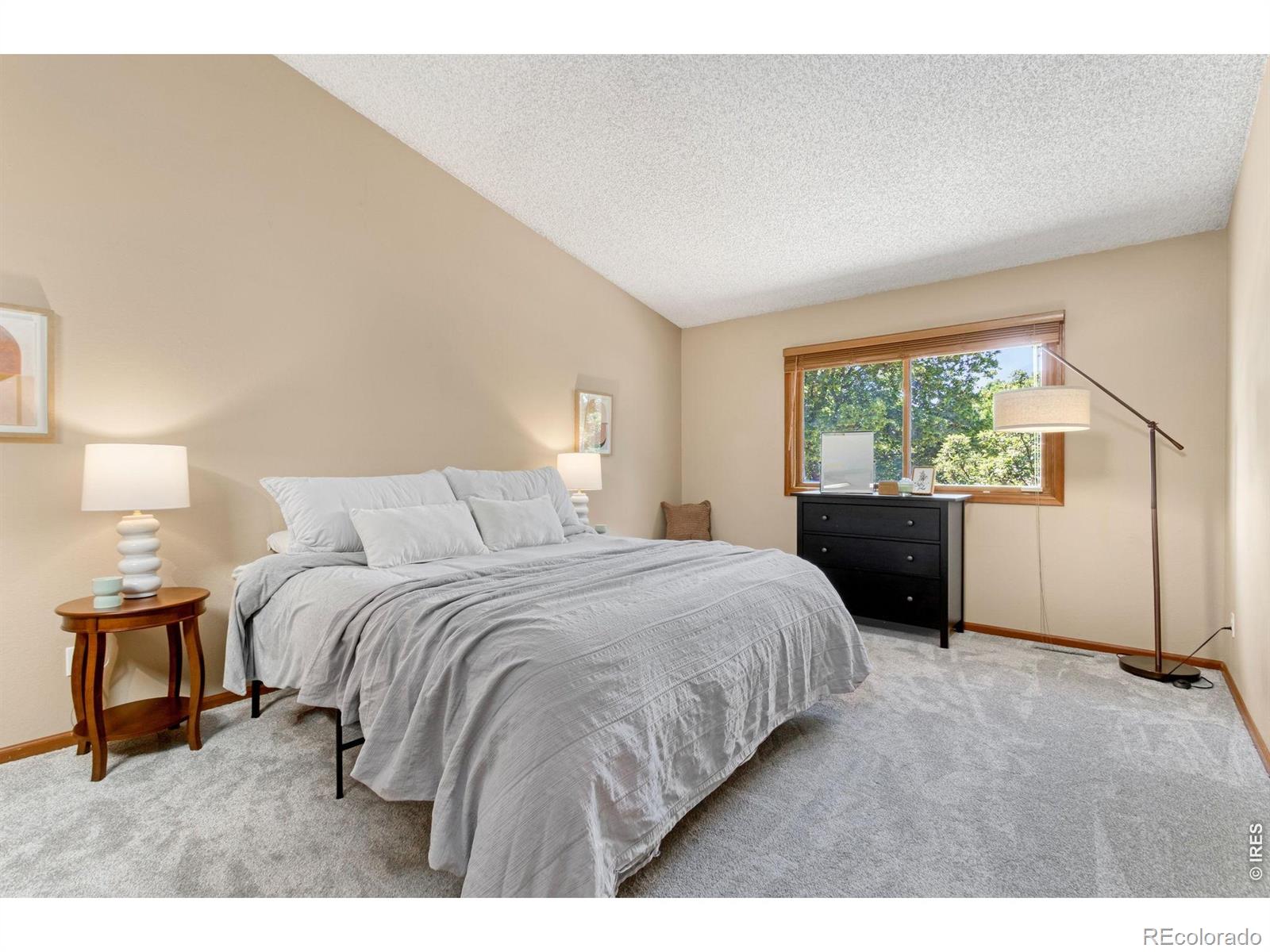 MLS Image #19 for 712  dennison avenue,fort collins, Colorado