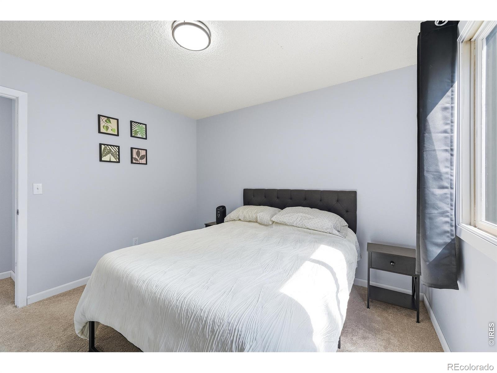 MLS Image #24 for 3206  lymen street,fort collins, Colorado